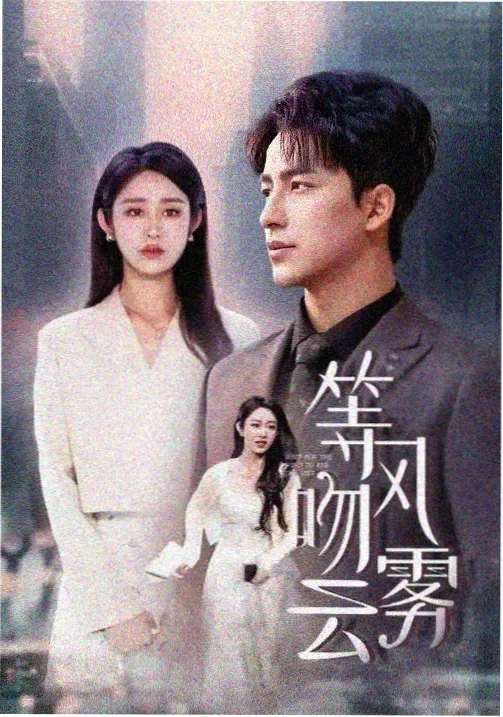 潮汐回声高清剧集封面