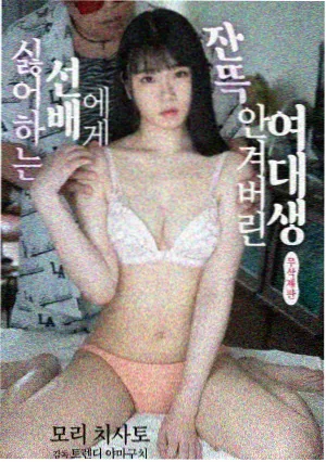 逆光档案剧集封面